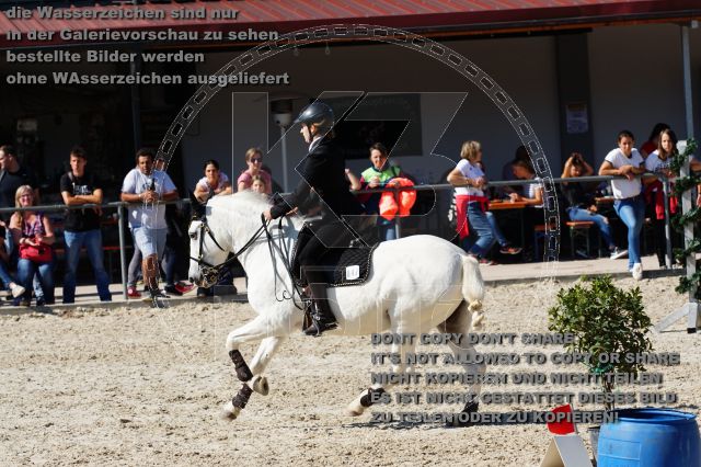 s_DSC05483.JPG